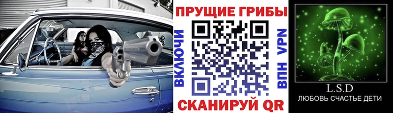 цены наркотик  Саки  Галлюциногенные грибы Psilocybe 